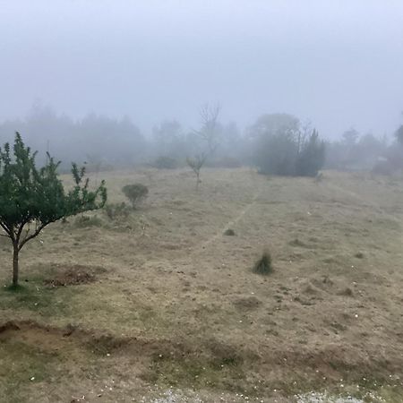 Hotel Las Carretas , Spa Y Temazcal Zacatlán Exteriör bild