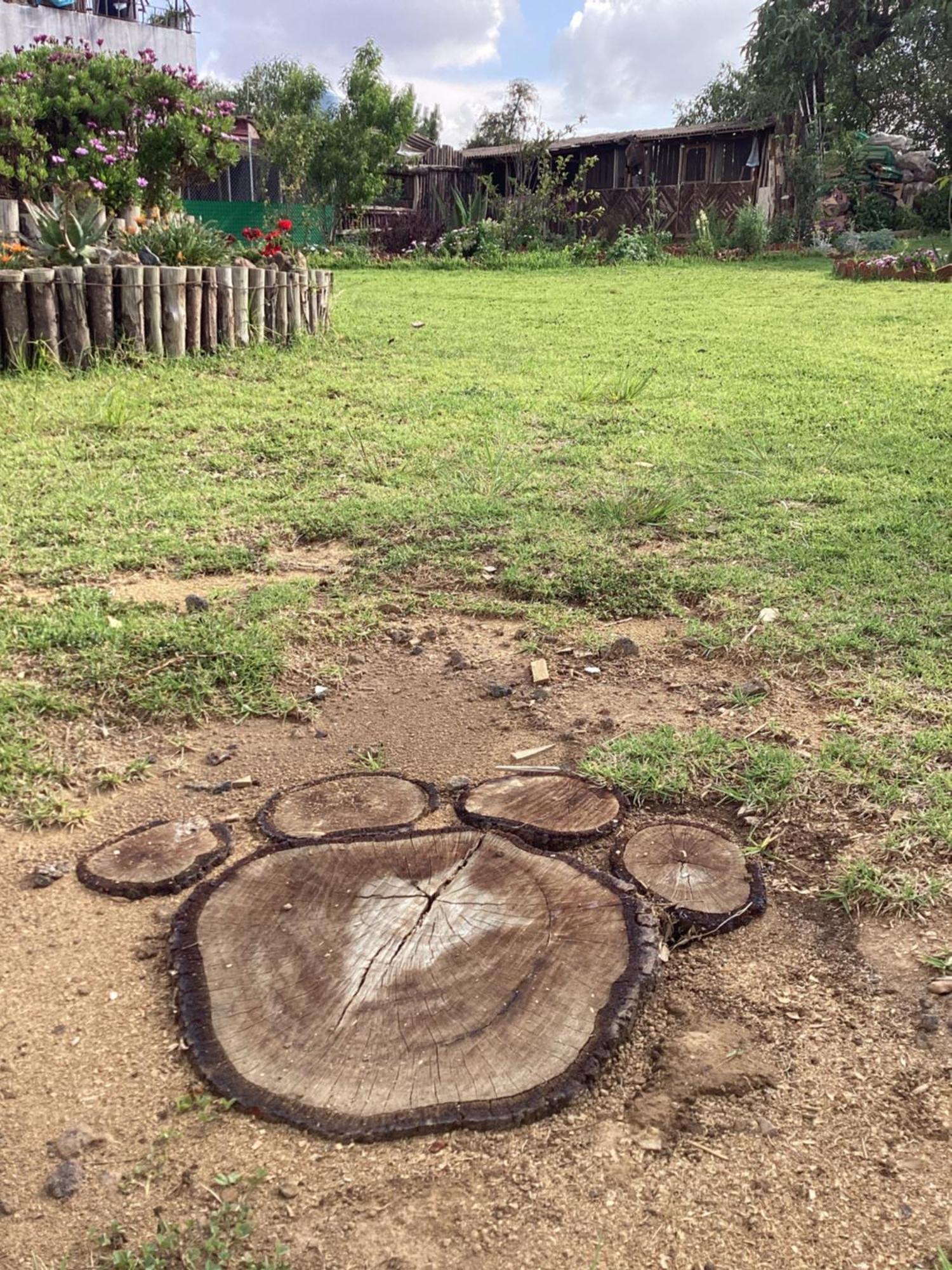 Hotel Las Carretas , Spa Y Temazcal Zacatlán Exteriör bild