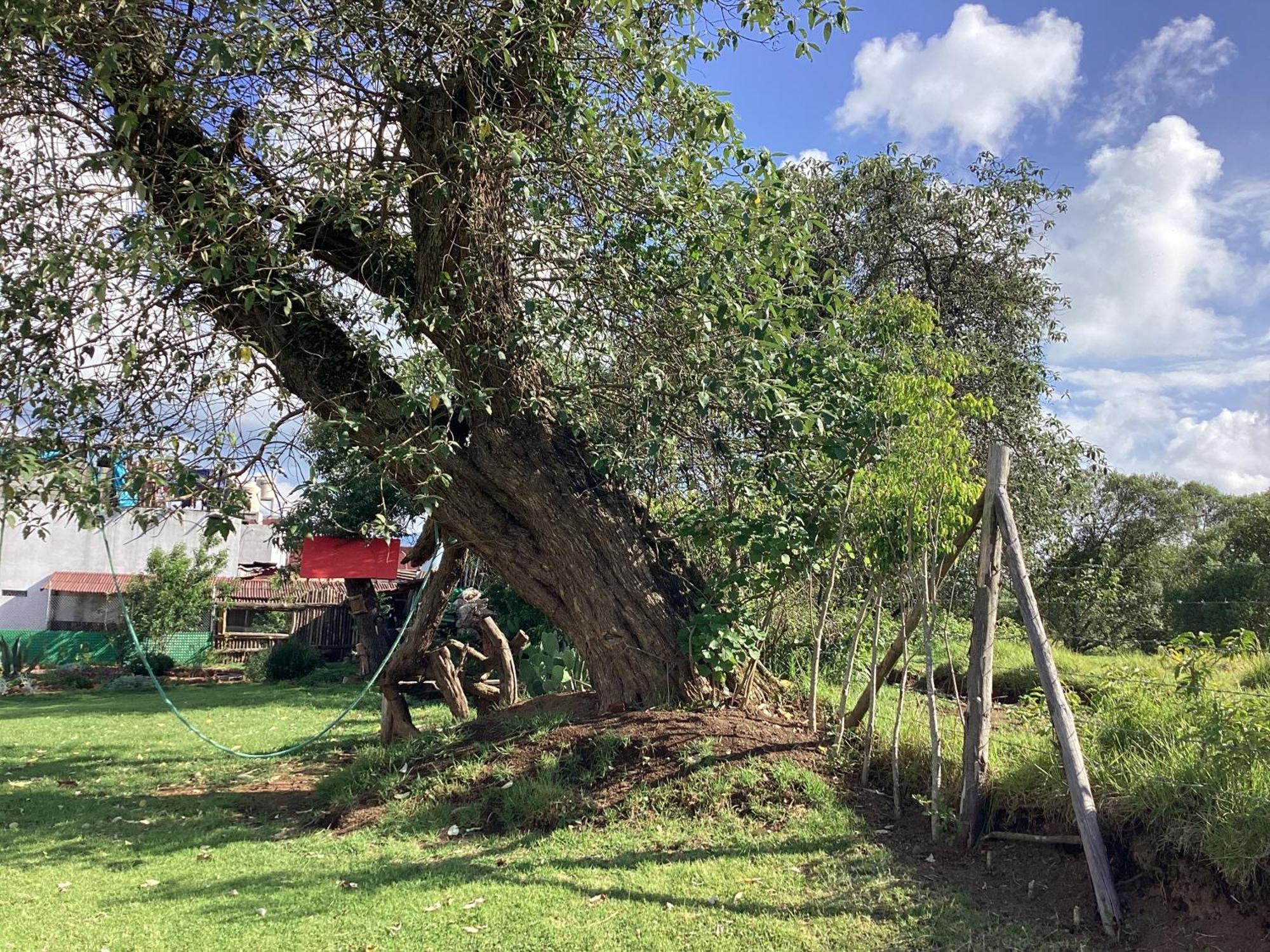 Hotel Las Carretas , Spa Y Temazcal Zacatlán Exteriör bild