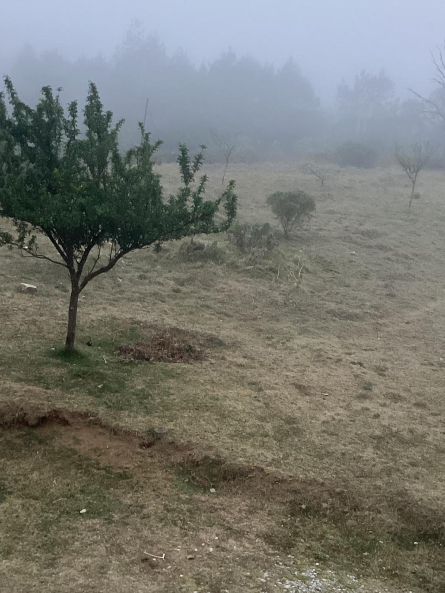 Hotel Las Carretas , Spa Y Temazcal Zacatlán Exteriör bild